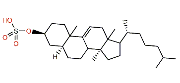 14a-Methyl-5a-cholest-9(11)-en-3b-ol 3-sulfate